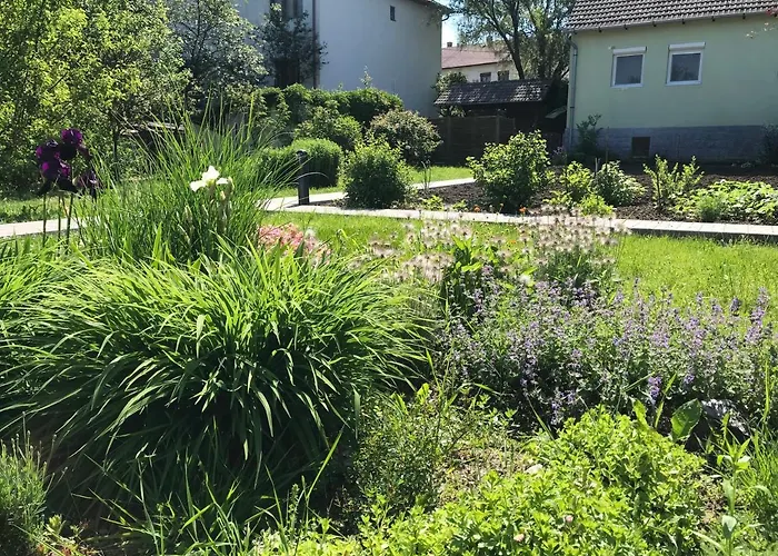 Zoeld Vendeghaz Csernely